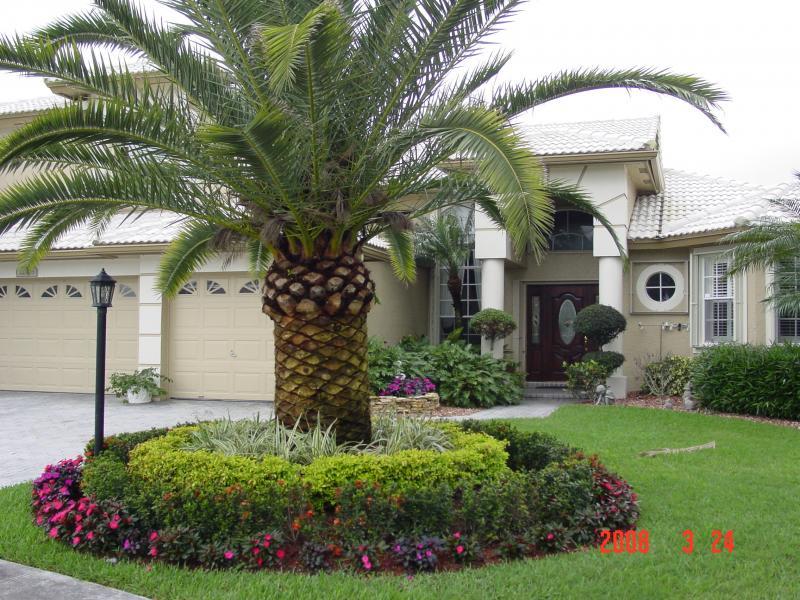 Florida Landscaping Ideas, Privacy Landscaping Ideas Florida